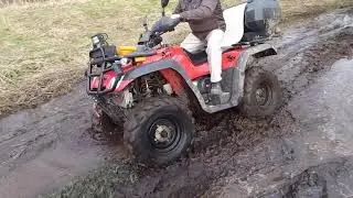 STELS ATV 300B. По болотам в лесу!