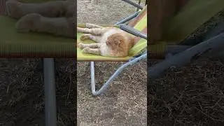 🤣😻