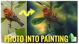 Snapseed GRUNGE FILTER Effects - Transform a Photo into Painting