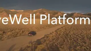 DriveWell Product Line Overview