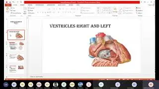 Heart -04 Internal Structures Ventricles | MBBS  Lecture Anatomy