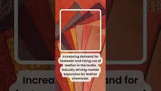 #shorts Global Leather Chemicals Market to Reach USD 13.17 Billion by 2032