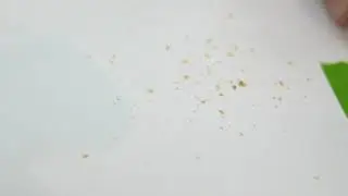 WTF is in our food?