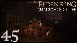 Rising the Tower | Elden Ring (Shadow of the Erdtree) #45