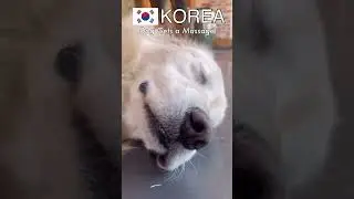 Massage in Korea and Russia (Russian meme) 