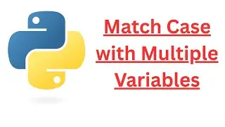 🐍 Mastering Python match-case with Multiple Variables | Python match case Example