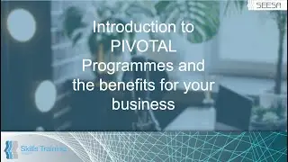 Introduction to PIVOTAL Programmes and the benefits for your business