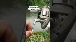 sumpah ngilu tangan matiknya #fishing #mancing #ikansawah #mancingsawah #angler #mancingikandisawah
