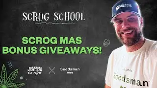 EP16- S3 -  Scrog School Merry Christmas