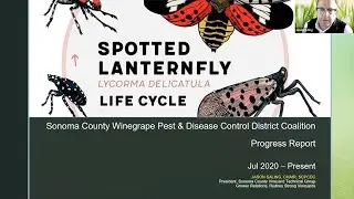 IPM 25th 9. The Life Cycle of the Spotted Lanternfly with Jason Saling