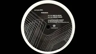 Paradox - Reykjavik