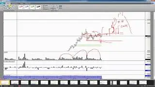 Включение по Si 13 ноября 2018 года