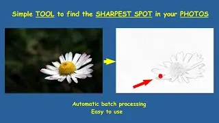 Find the SHARPEST SPOT IN YOUR PHOTOS – a simple batch method