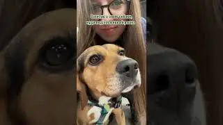 Іграшки для собак — це святе 😁 