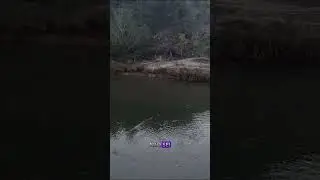 Escolha bem sua compania