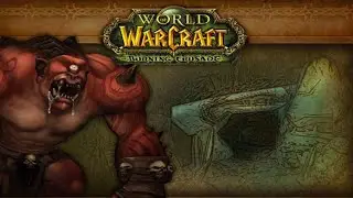 TBC Classic - Gruul's Lair - Gruul the Dragonkiller (Paladin POV)