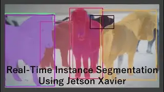 Real-Time Instance Segmentation Using Jetson Xavier