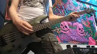 "Arrows" Red Fang bass cover