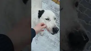 6.01.2023. Джафар, 5 лет