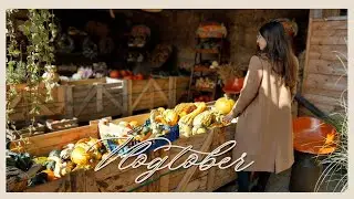 Jeszcze więcej dyń 🍁 Pomysł na pyszna kolacje! Vlogtober 🎃