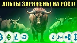 Биток начал расти, ждем альты?