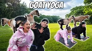 GOAT YOGA w/ B N S  !