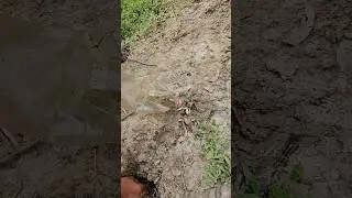 Bottle hand fishing|Real fishing lover|#fishing