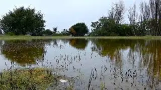 Scenes From India Basin 16