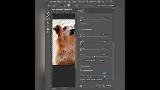 Remove background with hair refine | Adobe Photoshop | Presto Academy
