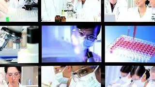 Over 90 in-house validated xenograft models. Read more at: altogenlabs.com