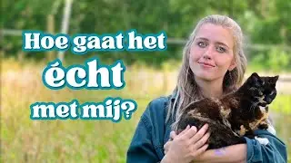 Leer mij beter kennen door deze Q&A ❤️
