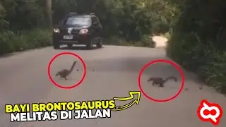 TEREKAM JELAS!!  Penampakan Sosok Makhluk Misterius, Fakta Sebenarnya Ternyata…
