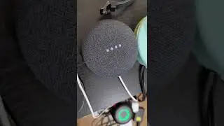 Google Home vs Alexa: Do You Like Science?