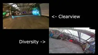 Clearview vs Diversity