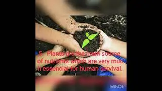 10 important points about trees in World Environment Day  Special