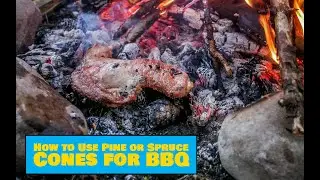 How to Use Pine or Spruce Cones for BBQ - Easy Outdoors Camping Tips
