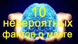 10 невероятных фактов о человеческом мозге