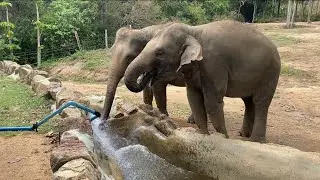 Kwan Samui is enjoying water ❤️