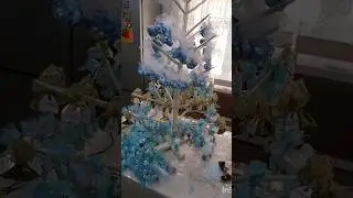 конфетное дерево Шах 