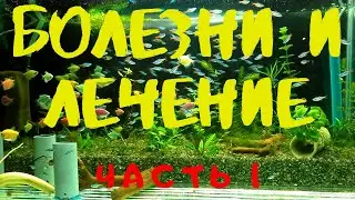 DISEASES AND TREATMENT OF AQUARIUM FISH. Part 1