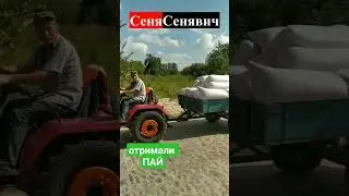 Отримали пай