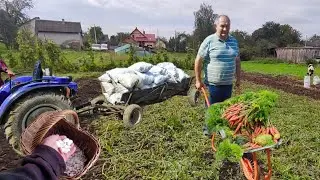 Збираємо Овочі з городу на зберігання! Морква, буряк, квасоля, кавуни на зиму