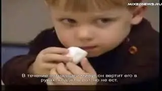 Эксперимент с зефиром и детьми (о вознаграждении)