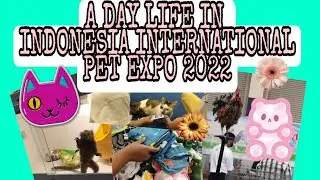 A DAY LIFE IN INDONESIA INTERNATIONAL PET EXPO 2022 #IIPE