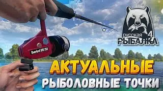 ТЫ 100% ЗАКРОЕШЬ ТРОФЕЙ КАРАСЯ!!! 53:87 оз. Комариное РР4 «Актуальные рыболовные точки»