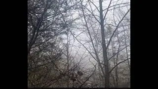 silent hill 3, mall scene [slowed]