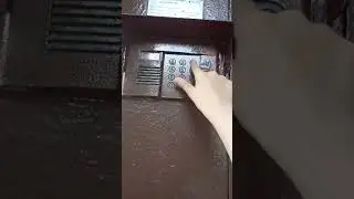 27 мая 2024 г.