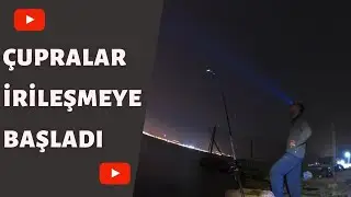 KIYIDAN YEMLİ AVLARA DEVAM. ÇUPRALARRRRR