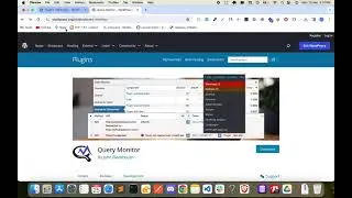 S1E2 Query Monitor | Small WordPress Plugins, Big Impact