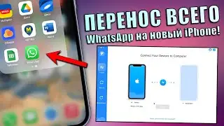 Как перенести чаты ватсап с андроида на айфон? Как перенести WhatsApp с Android на iPhone iOS